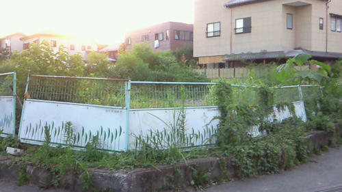 200907151831001.jpg