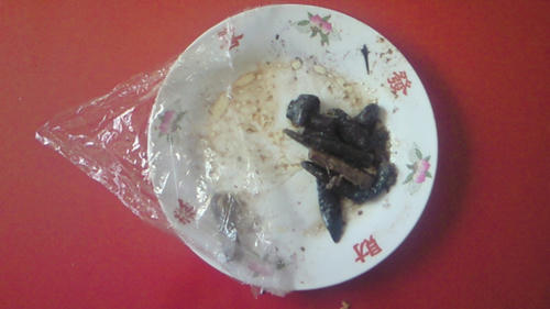 200910191541000.jpg