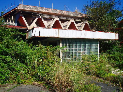 P1010499.jpg