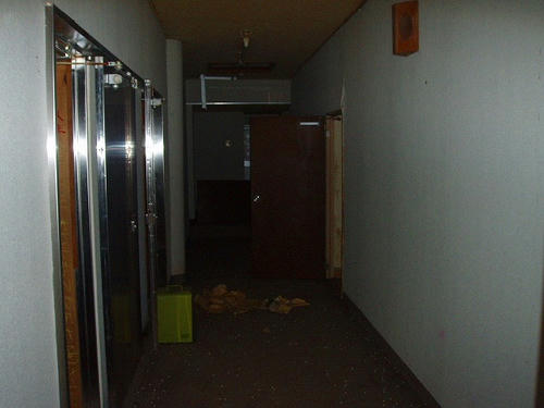 P1010474.jpg
