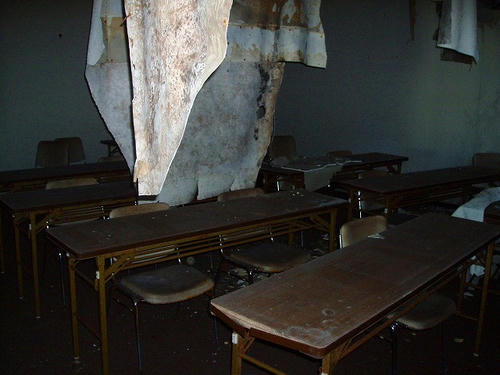 P1010383.jpg