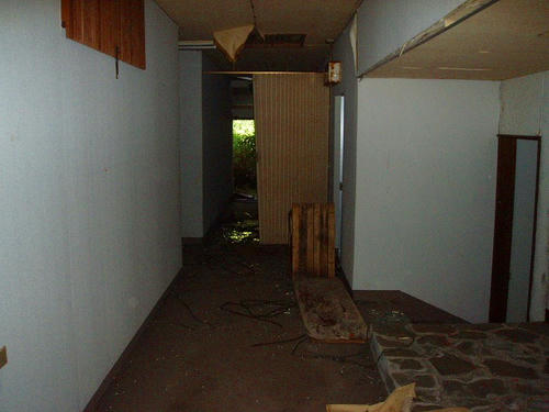 P1010390.jpg