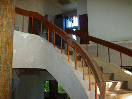 P1010431.jpg