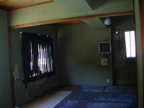 P1010440.jpg
