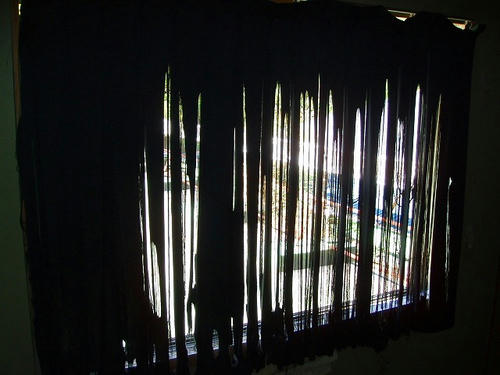 P1010497.jpg