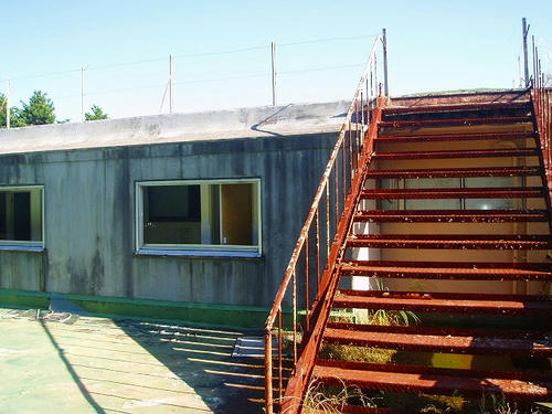 P1010444.jpg
