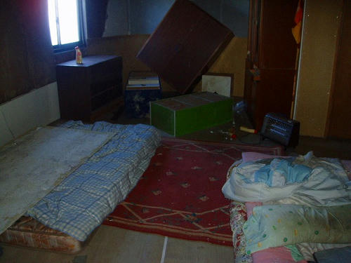 P1010549.jpg