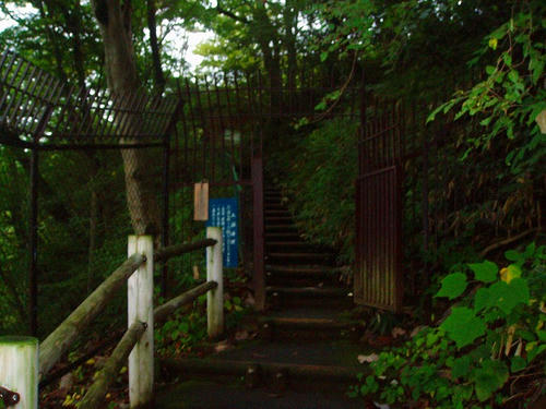 P1011159.jpg