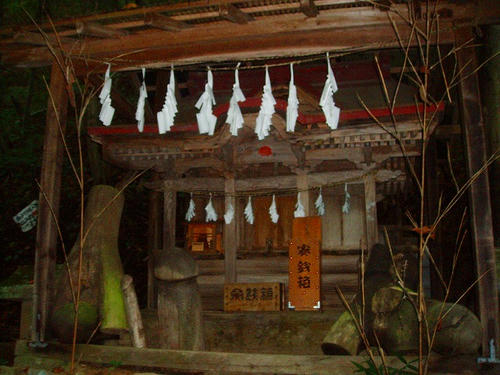 P1011162.jpg