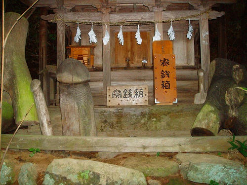 P1011163.jpg