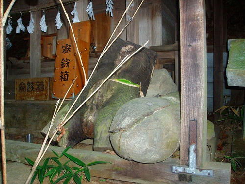 P1011165.jpg