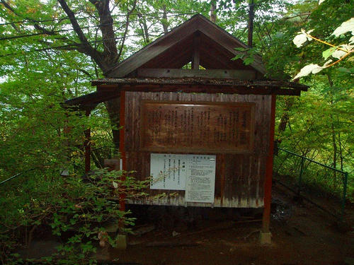 P1011168.jpg