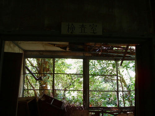 P1010667.jpg