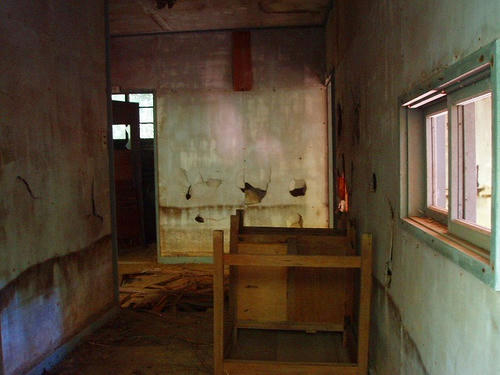 P1010674.jpg