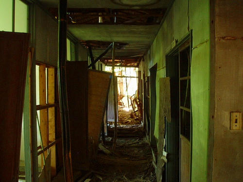 P1010649.jpg
