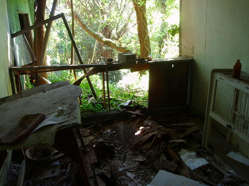 P1010650.jpg