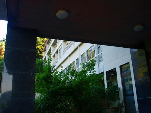 P1010891.jpg