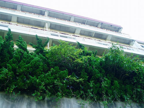 P1010894.jpg