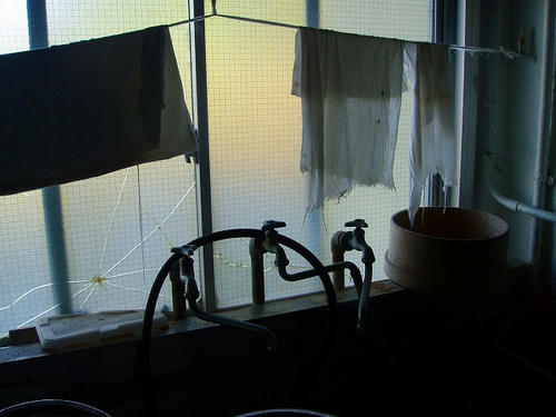 P1010773.jpg