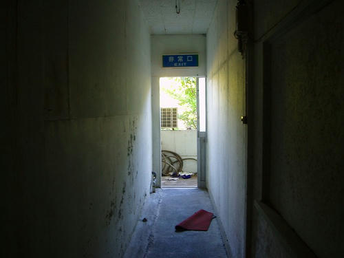 P1010781.jpg