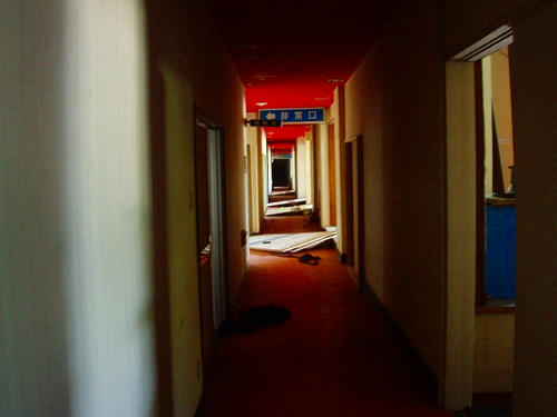 P1010793.jpg