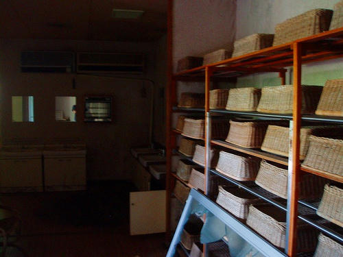 P1010709.jpg