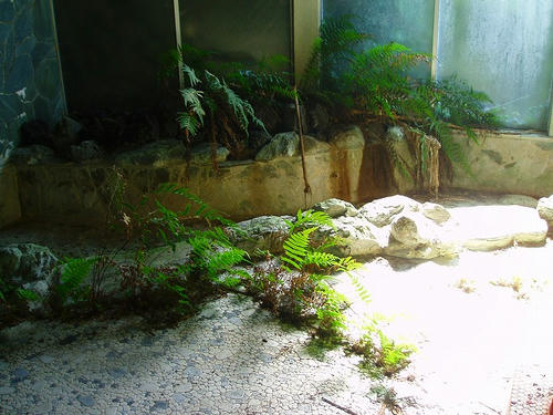 P1010715.jpg