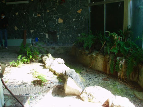 P1010717.jpg