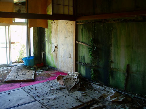P1010840.jpg