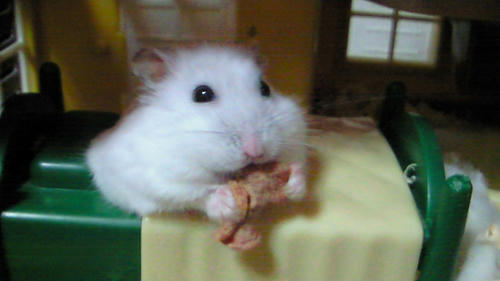 200912012024000.jpg