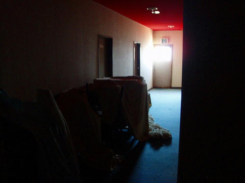 P1010803.jpg