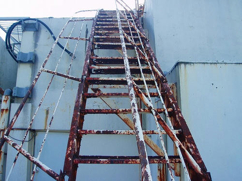 P1010860.jpg