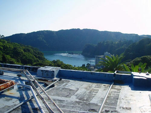 P1010861.jpg