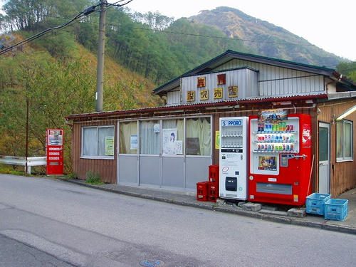 P1011696.jpg