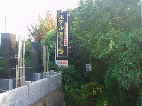 P1010293.jpg