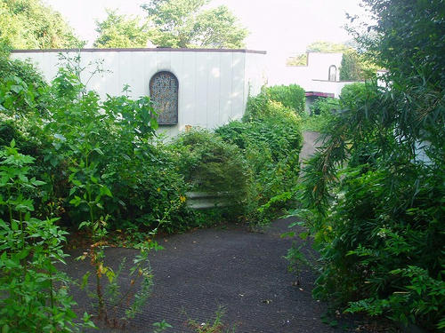 P1010296.jpg