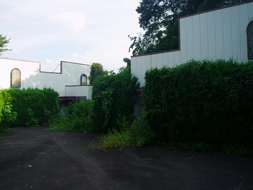 P1010297.jpg