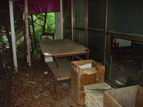 P1010301.jpg