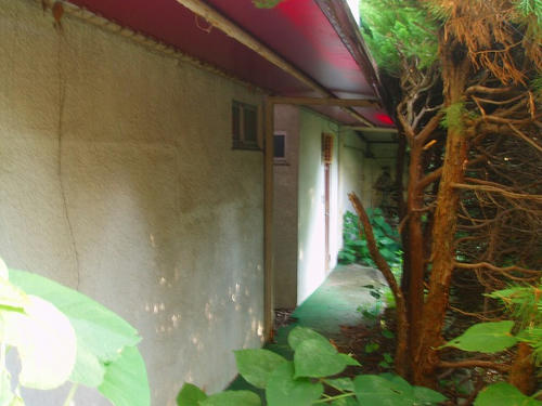 P1010315.jpg