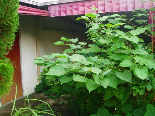 P1010318.jpg