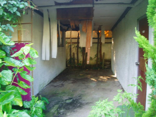P1010322.jpg