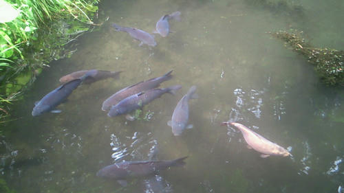 200907041340003.jpg