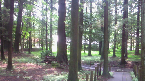 200907041343000.jpg