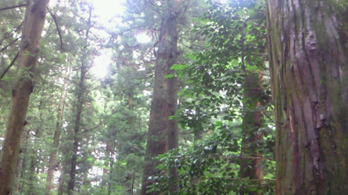 200907041343001.jpg