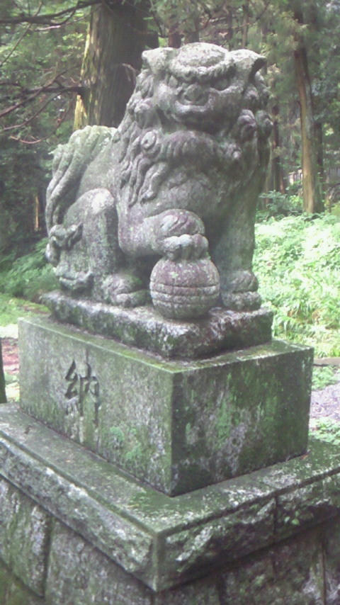 200907041344000.jpg