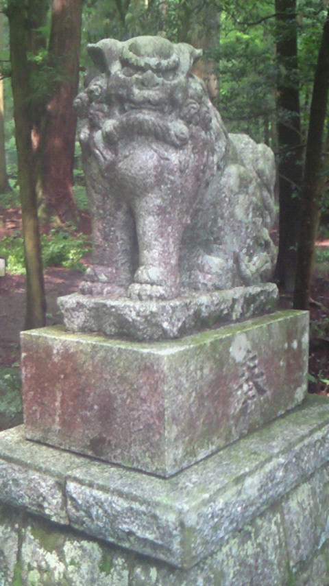 200907041344001.jpg
