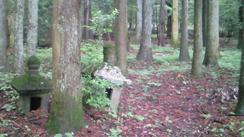 200907041404000.jpg
