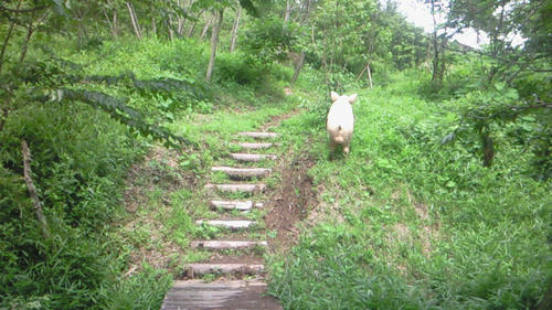 200907041329000.jpg