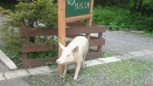 200907041329002.jpg