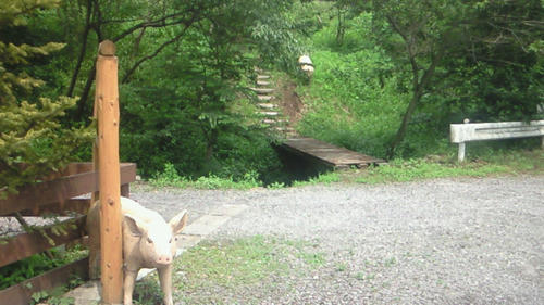 200907041329003.jpg